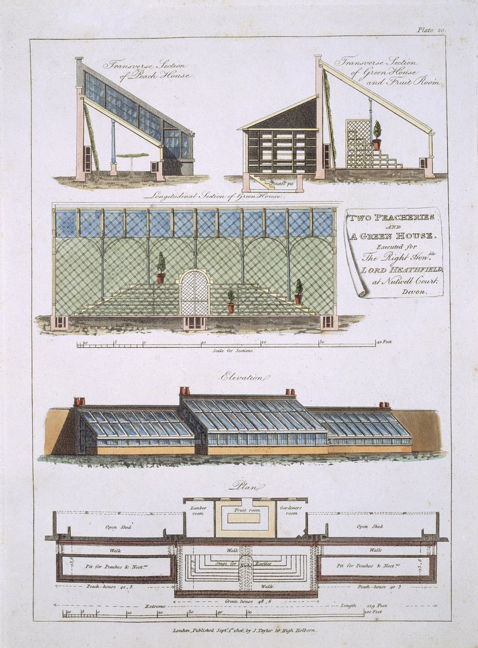 İki Şeftali ve Bir Sera için Tasarım, 1806 by English School