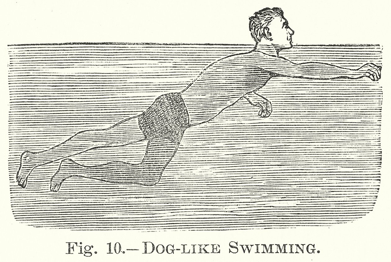 Köpek Gibi Yüzmek (gravür) by English School