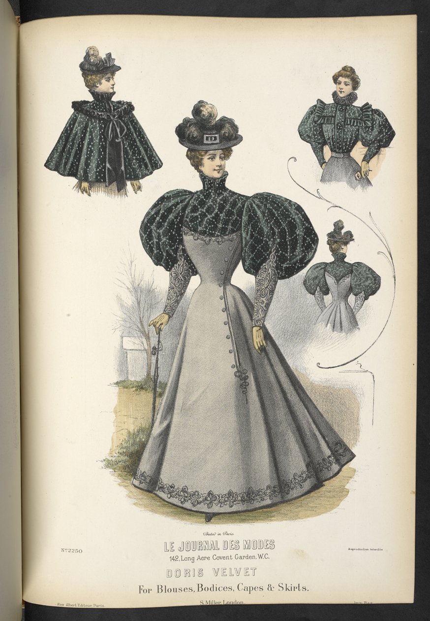 Doris kadife, Bluzlar, korsajlar, pelerinler ve etekler için,  Plaka 2250, bluzlar, korsajlar, pelerinler ve etekler için Doris kadife,  terzi ve değirmenci,  1895 by English School