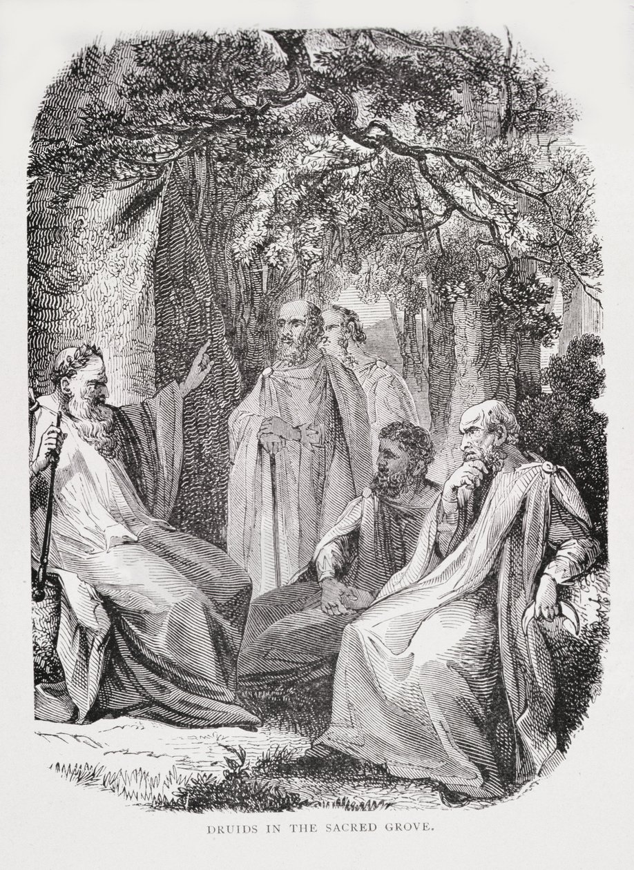 Kutsal Korudaki Druidler, Fransa Tarihinden, Emile de Bonnechose tarafından, Ward, Lock and Co, Londra tarafından yayınlandı by English School