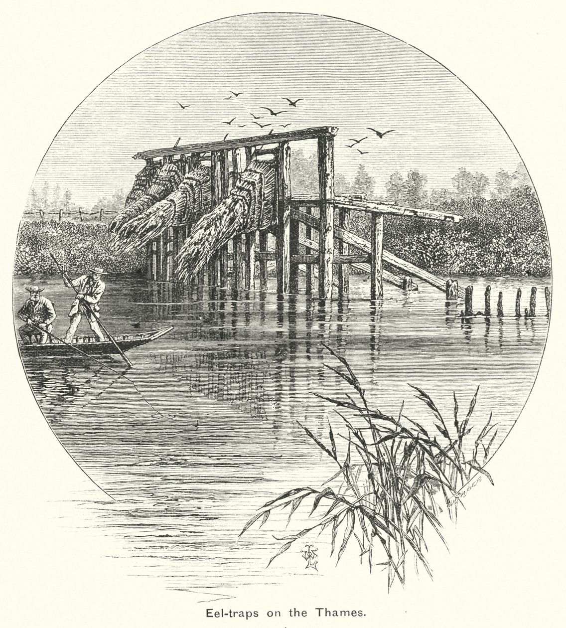 Thames Nehri üzerinde yılan balığı tuzakları (gravür) by English School