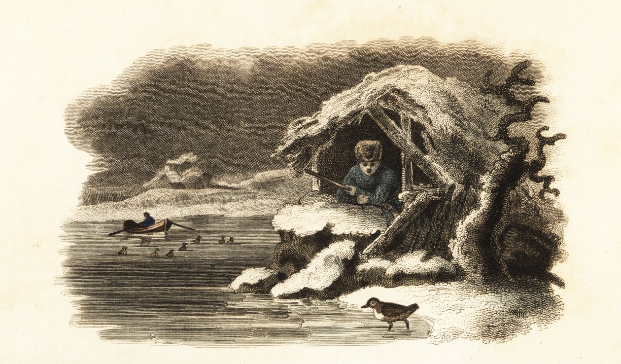 Avrupa su ouzel, Fransa Nantua Gölü