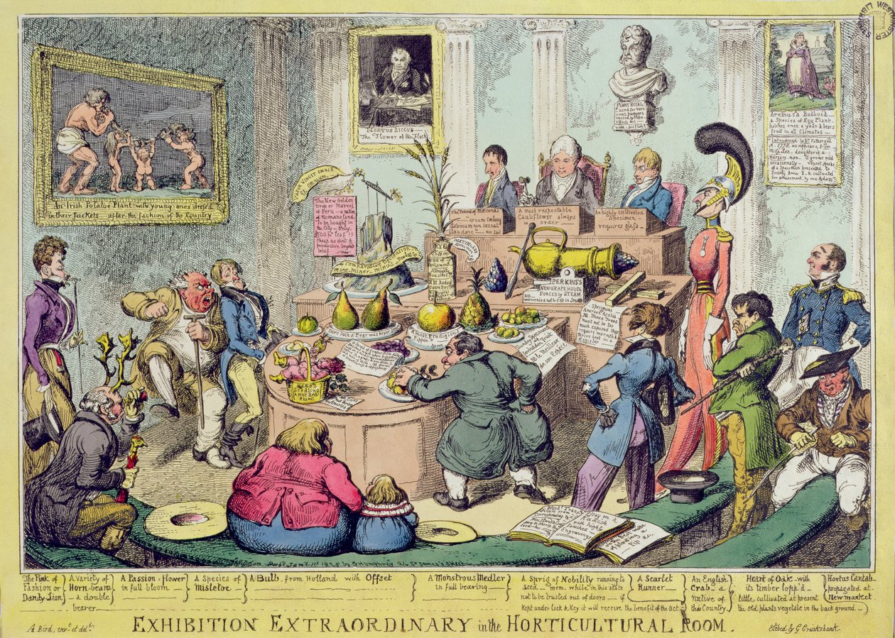 George Cruikshank (1792-1878), pub tarafından kazınmış Bahçe Bitkileri Odasında Olağanüstü Sergi. G. Humphrey, 1826 (renkli gravür) by English School