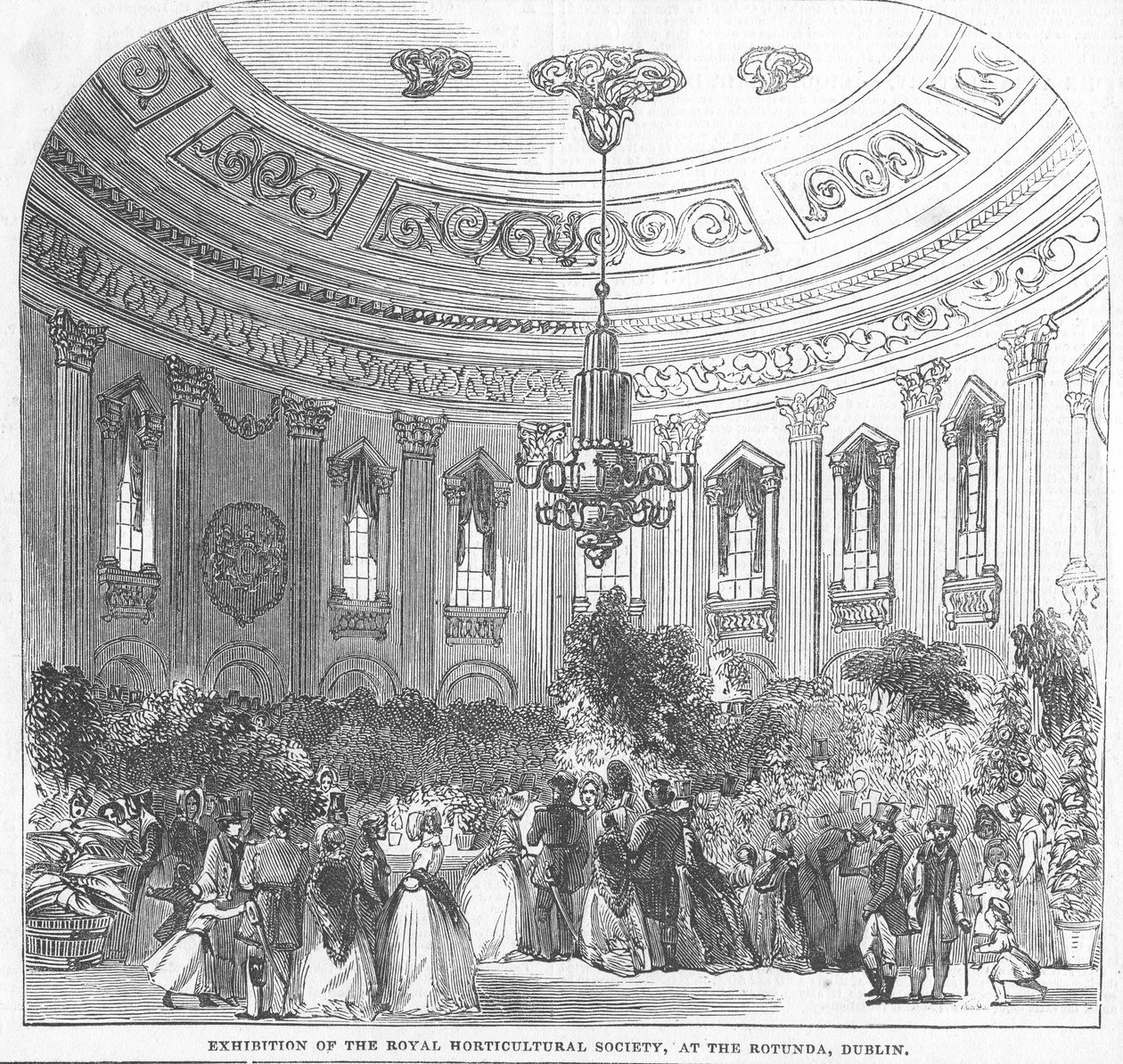 Exhibition of the Royal Horticultural Society, at the Rotunda, Dublin, illustration from 