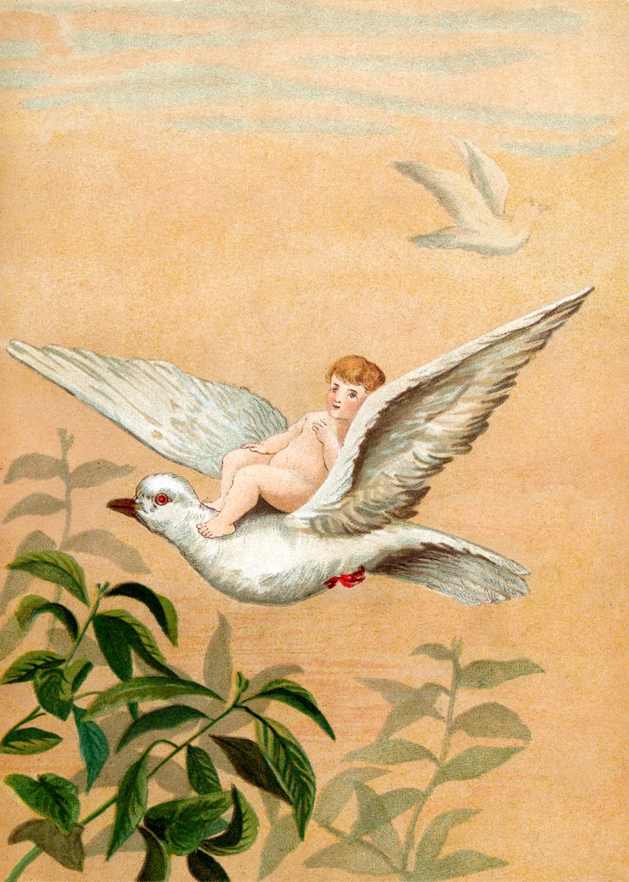 beyaz güvercine binen peri by English School