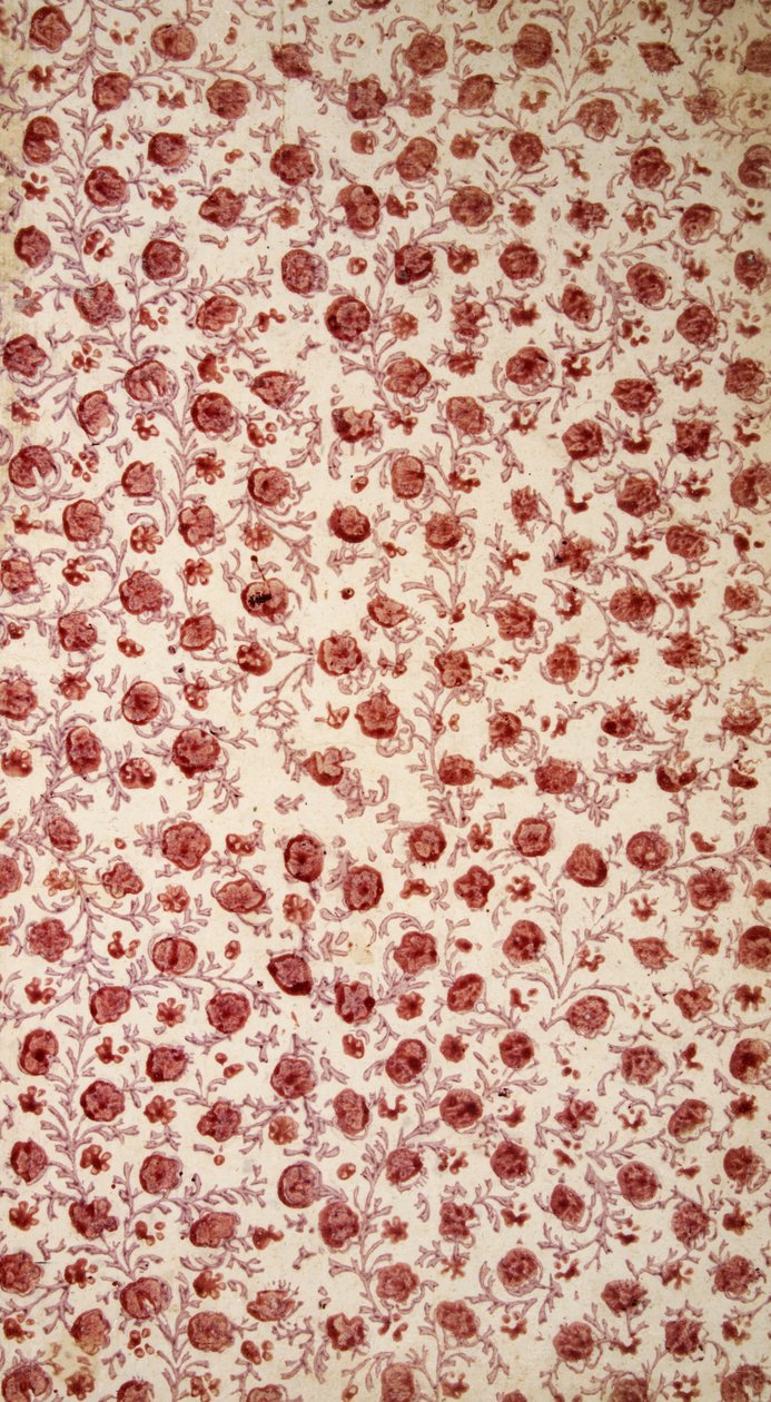 Çiçekli Endpaper (el renkli gravür) by English School