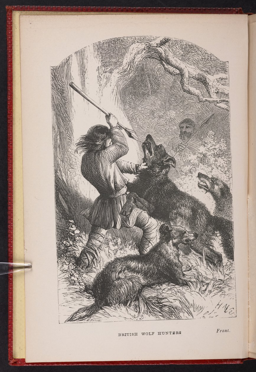 The British Wolf-Hunters'tan ön parça. Thomas Miller'dan bir masal vb. by English School