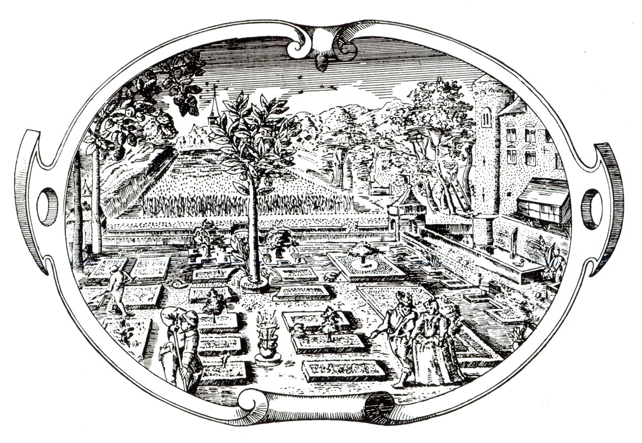 Frontispiece, The Herball