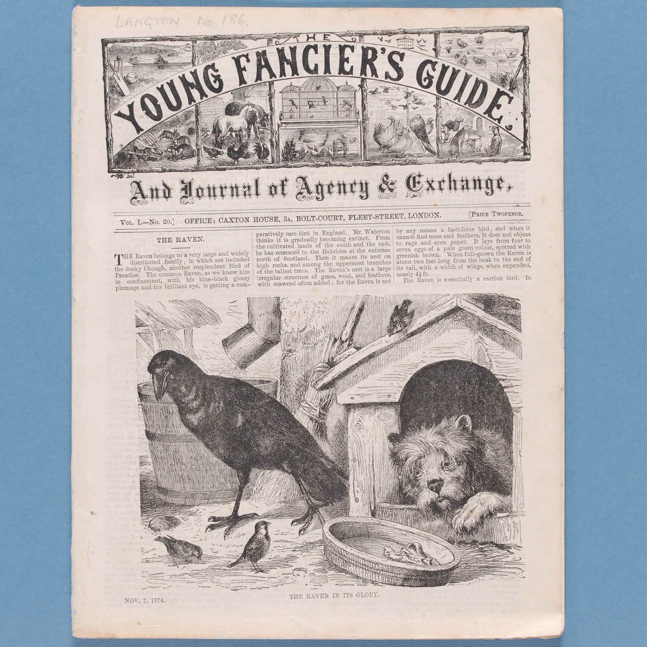 The Young Fanciers Guide, 1874