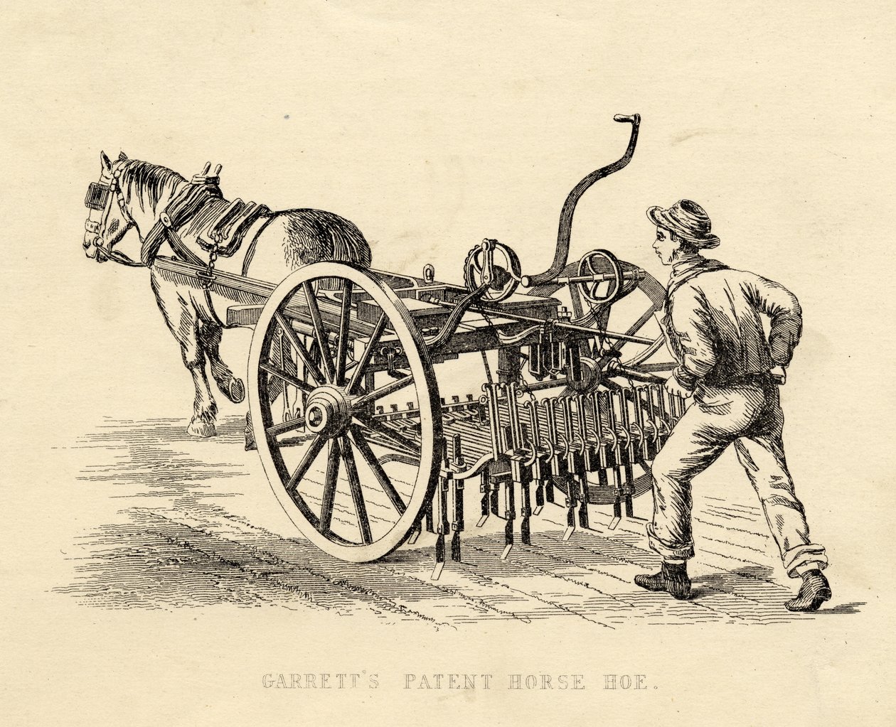 Garretts Patentli At Çapa by English School
