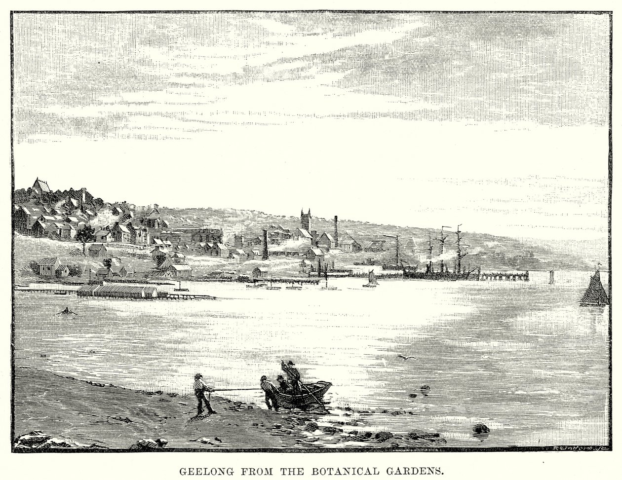 Botanik Bahçelerinden Geelong (gravür) by English School