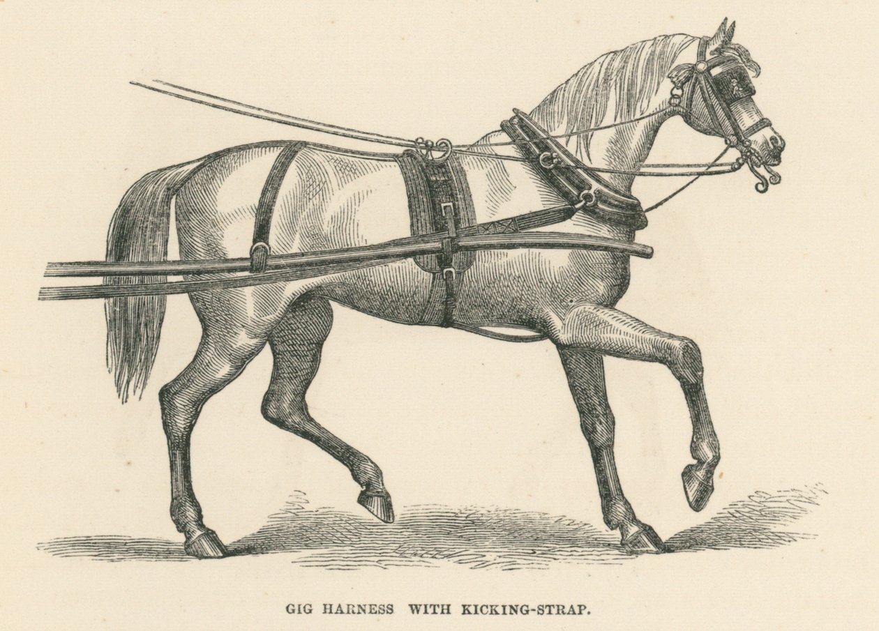 Tekme Kayışlı Gig Harness (gravür) by English School