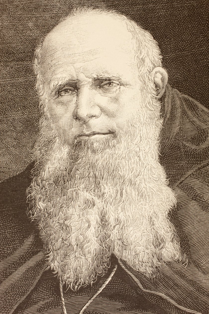 Guglielmo Massaia (litho) by English School