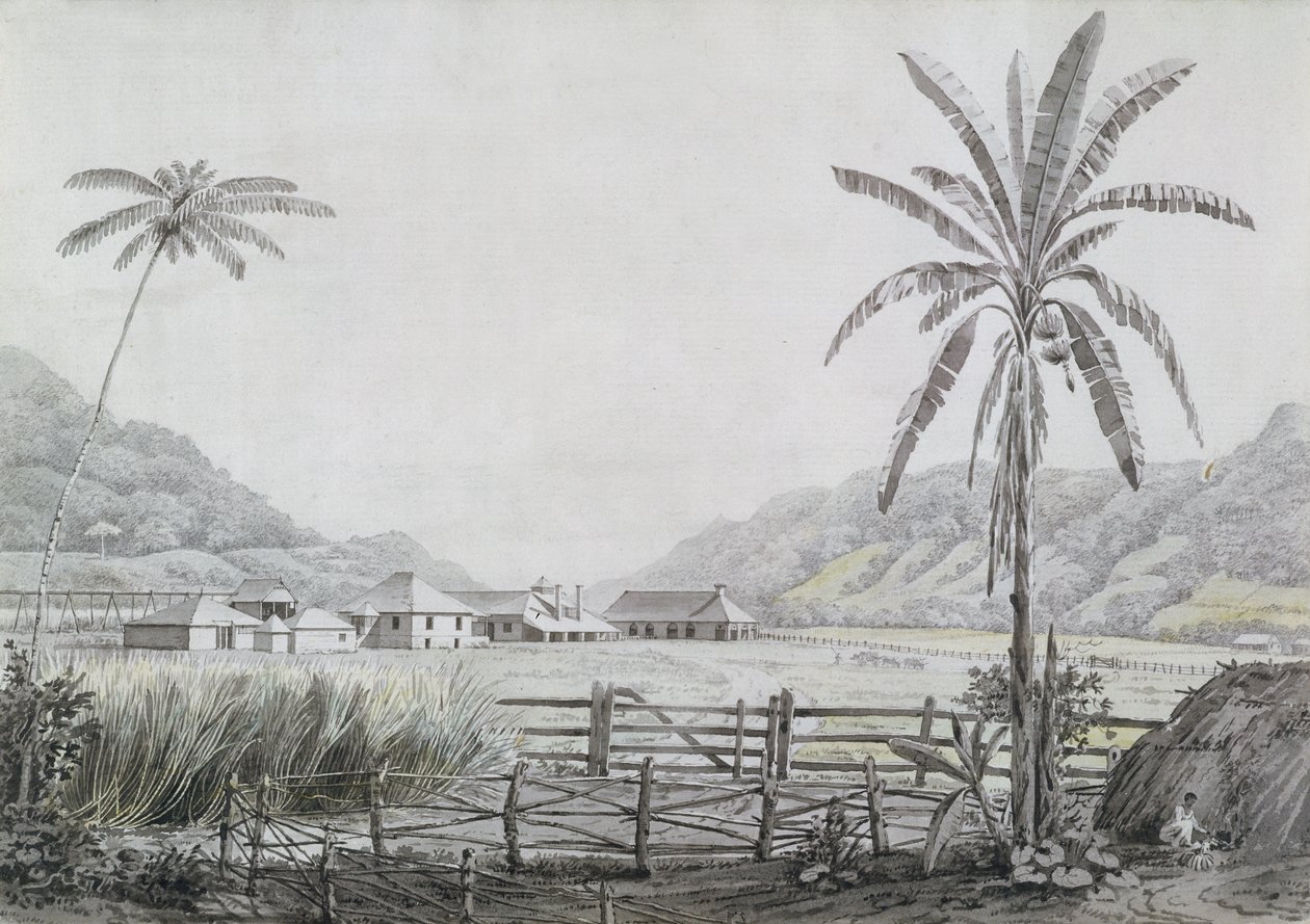 Halse Hall, Jamaika, c.1780 (kağıt üzerinde wc ve grafit) by English School