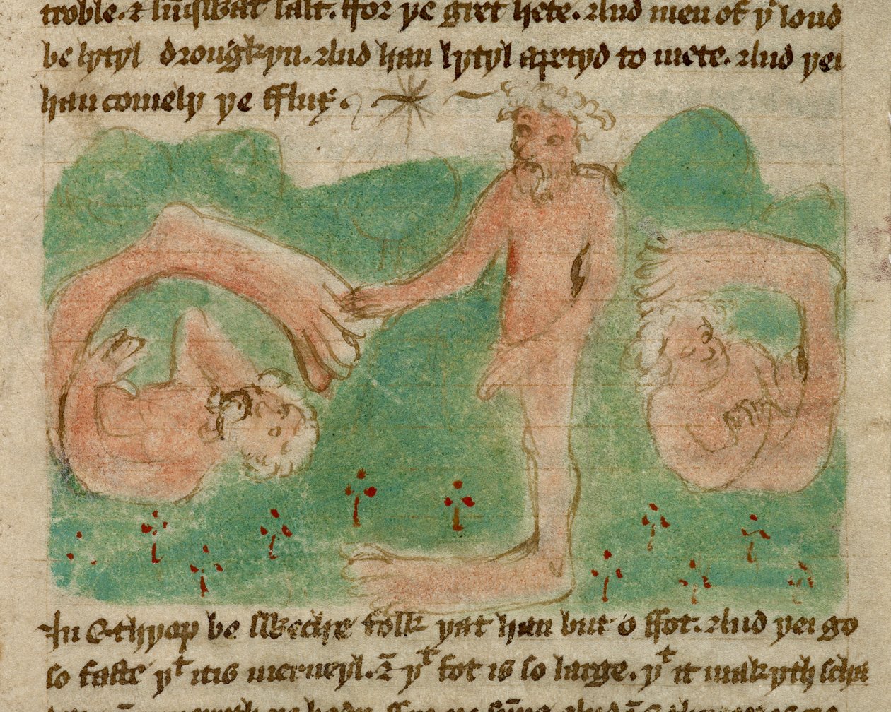 Harley 3954, f.31, 