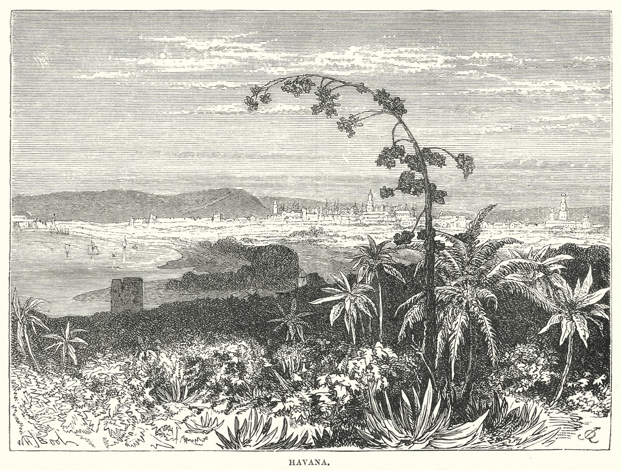 Havana (gravür) by English School