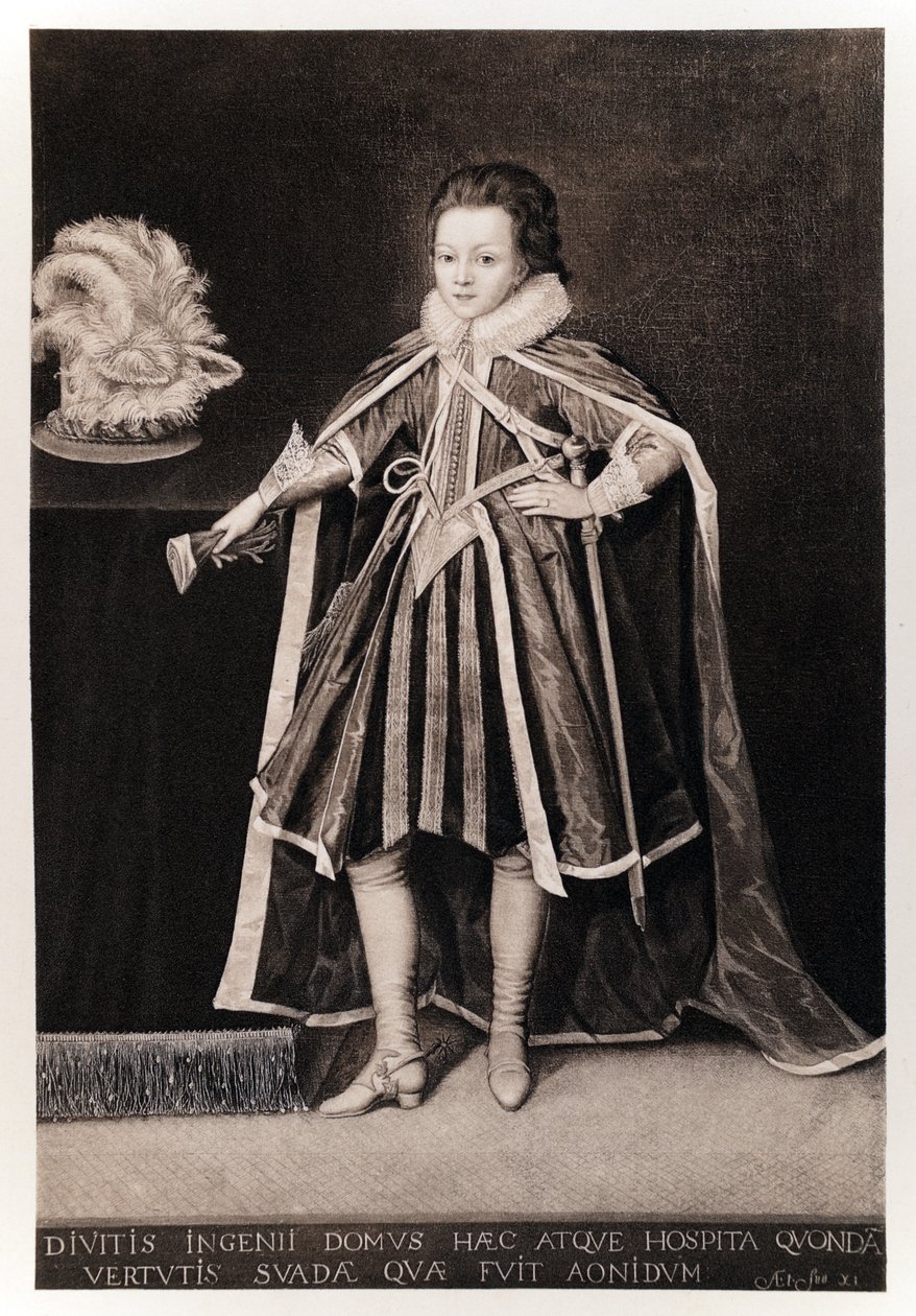 Henry, Galler Prensi, James I ve VI