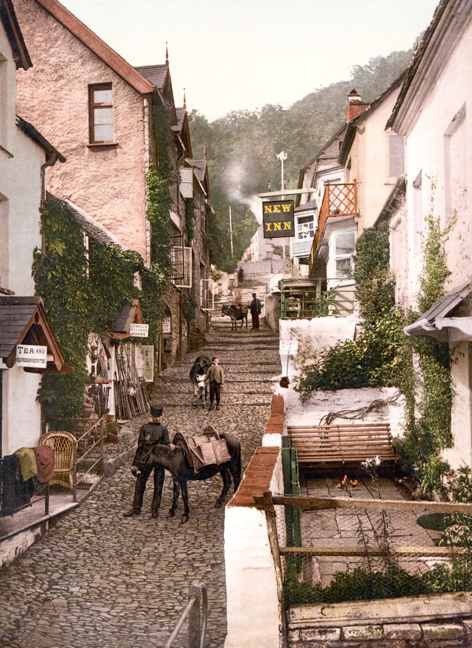 High Street, Clovelly (el ile renklendirilmiş fotoğraf) by English School