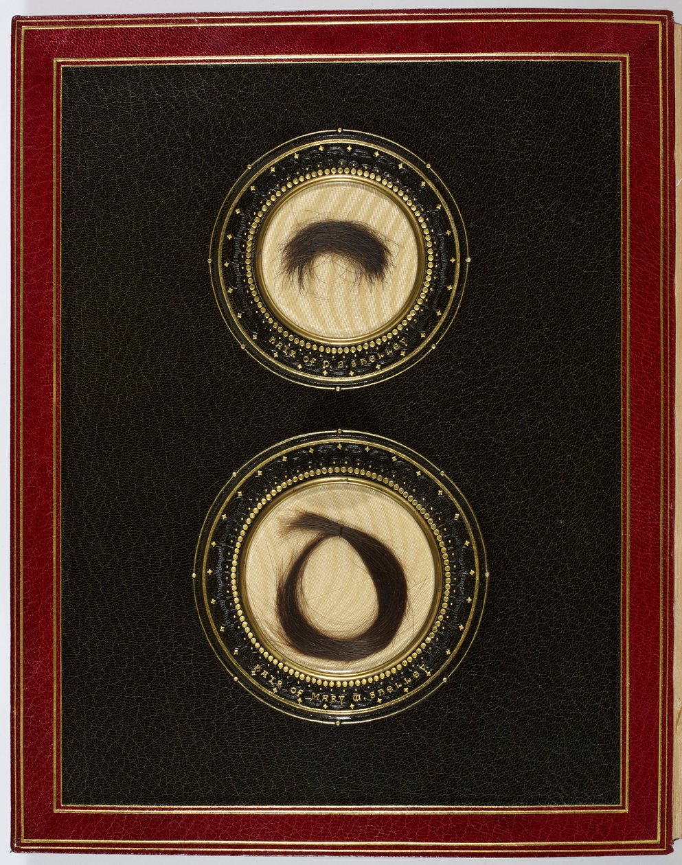 Ön Kapağın İçinde, Percy Bysshe Shelley ve karısı Mary Shelley