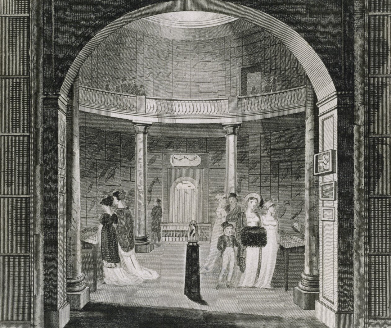 Leverian Müzesi