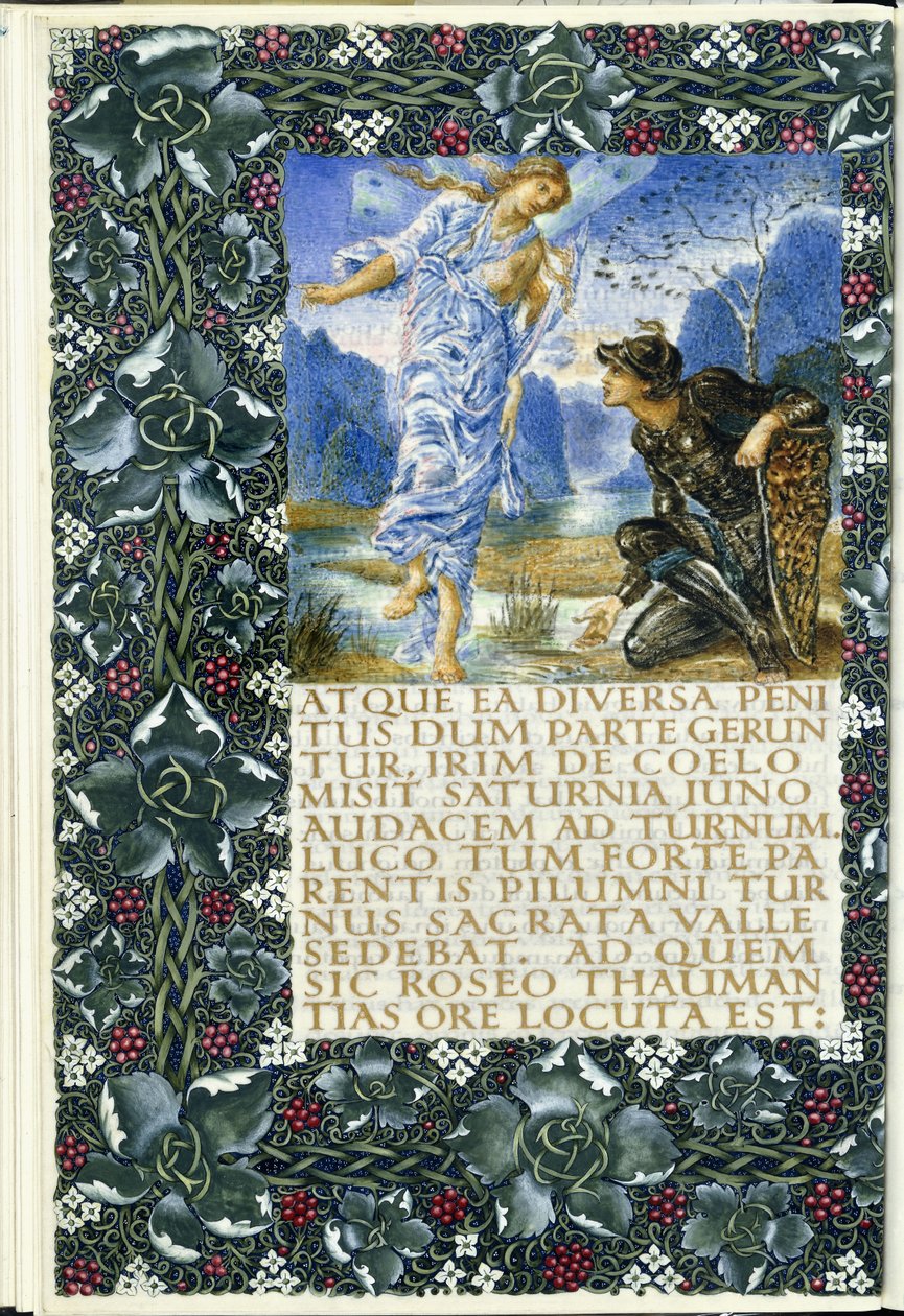 Turnus