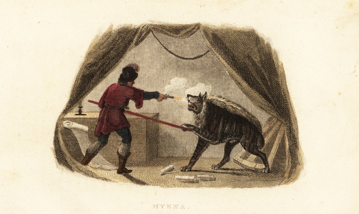 James Bruce, Abyssinia, Maitsha