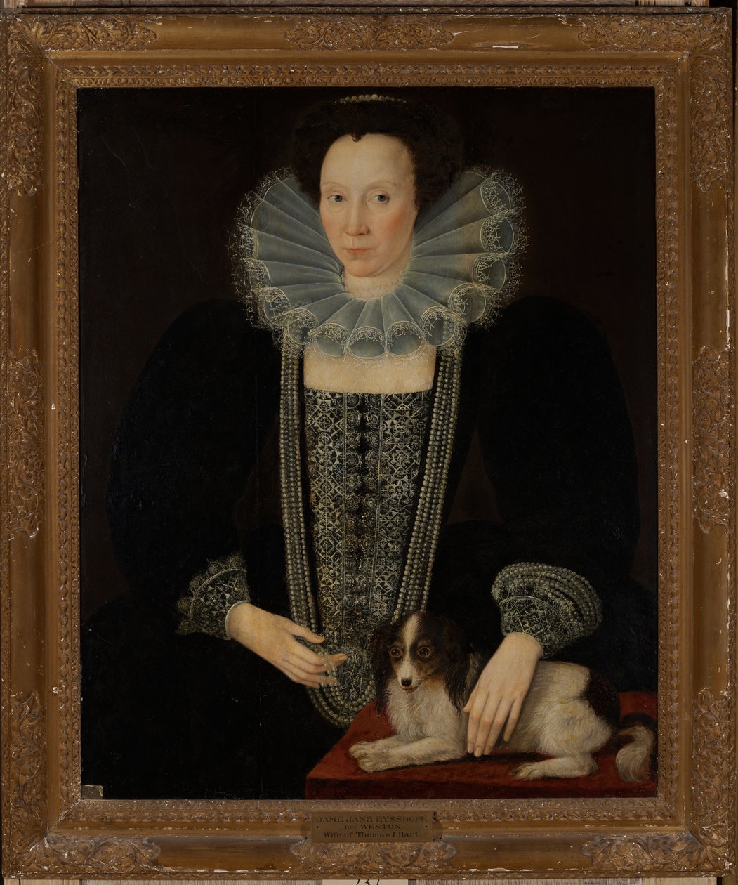 Jane Weston, Sir Thomas Bisshopp'un ikinci eşi by English School