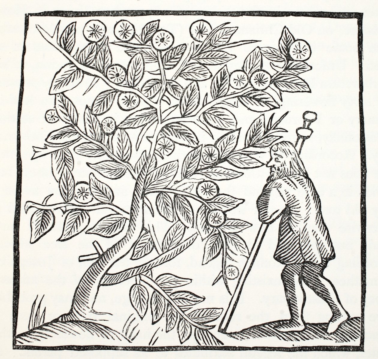 Arimathea