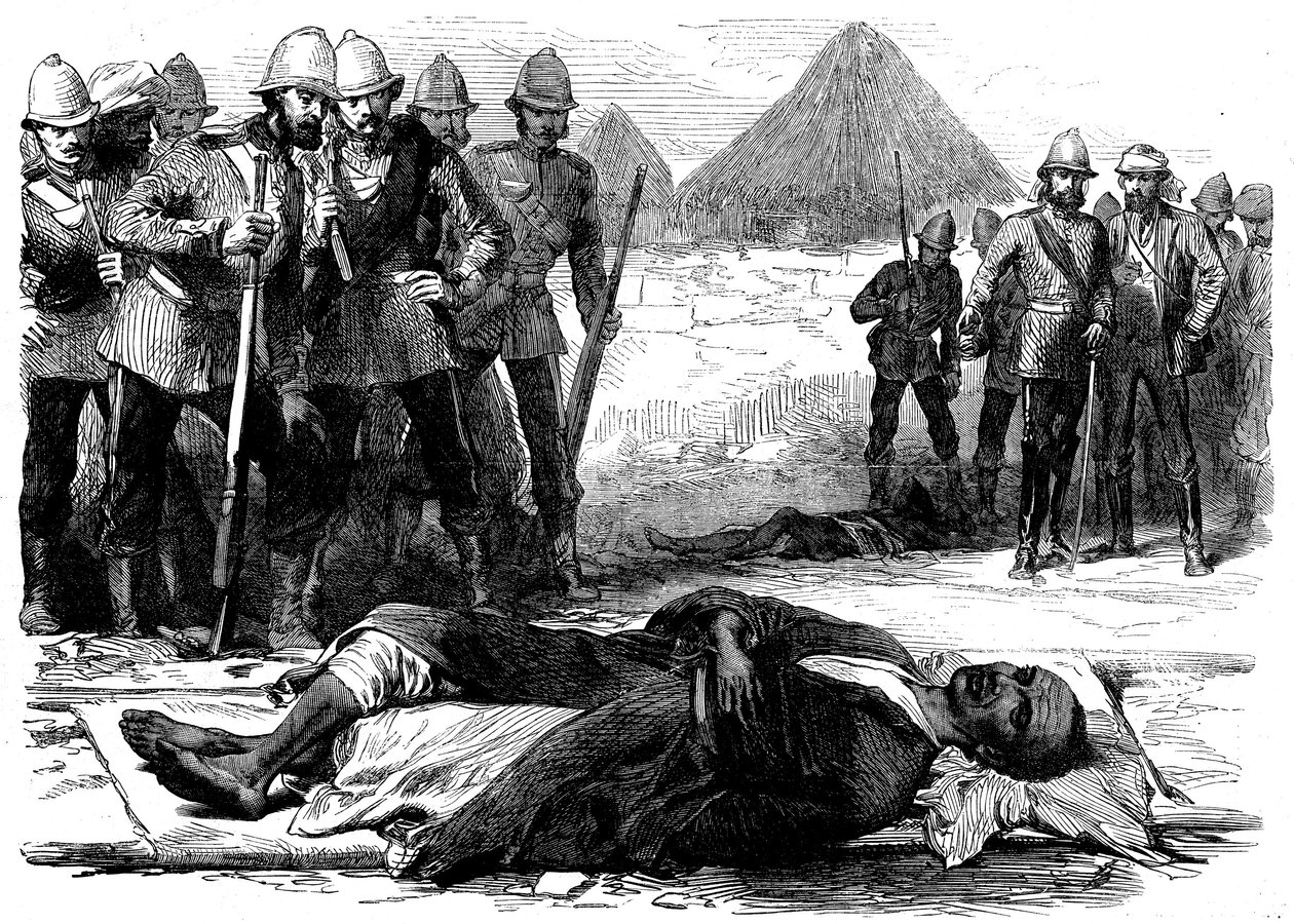 Kral Theodore, The British Expedition