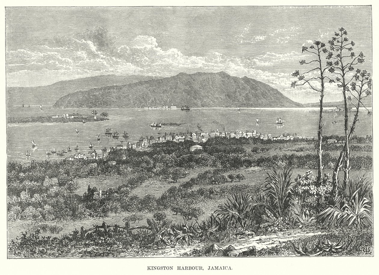 Kingston Limanı, Jamaika (gravür) by English School