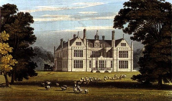 Kitley, Ackermann