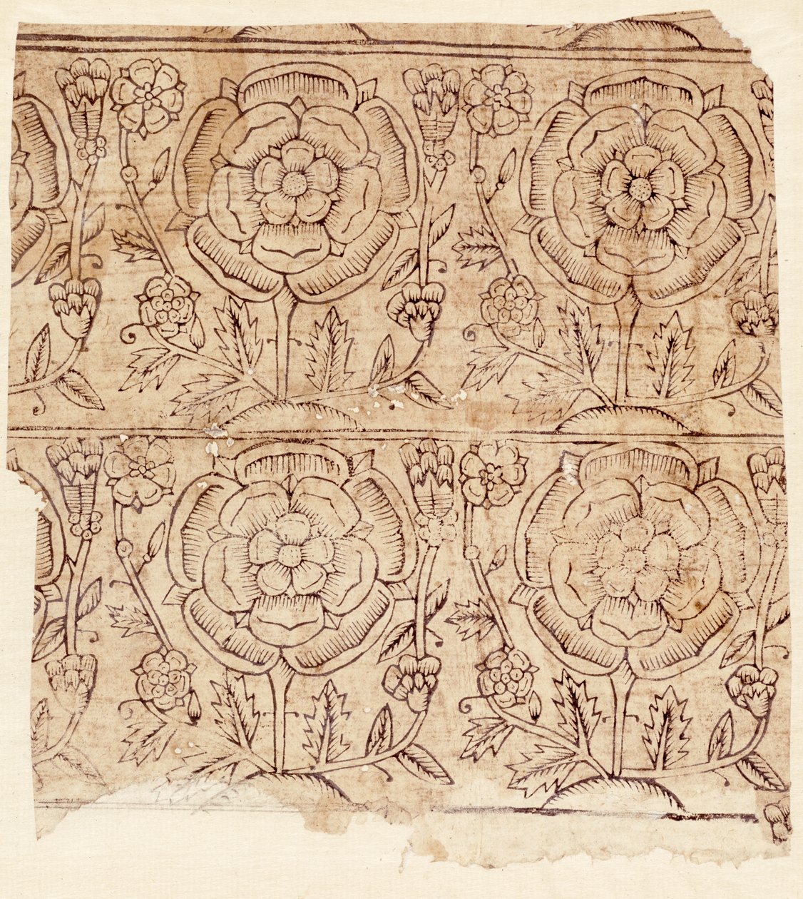 Tudor Rose desenli astar kağıdı, c.1550 (tahta baskı) by English School
