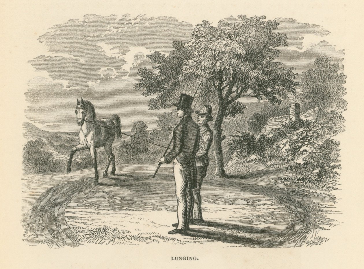 Lunging (gravür) by English School