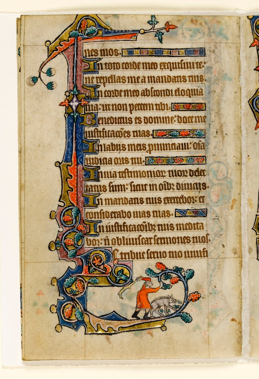 MS 1-2005, fol. 170v: Domuz için meşe palamutlarını deviren bir Domuz Çobanı, Macclesfield Psalter