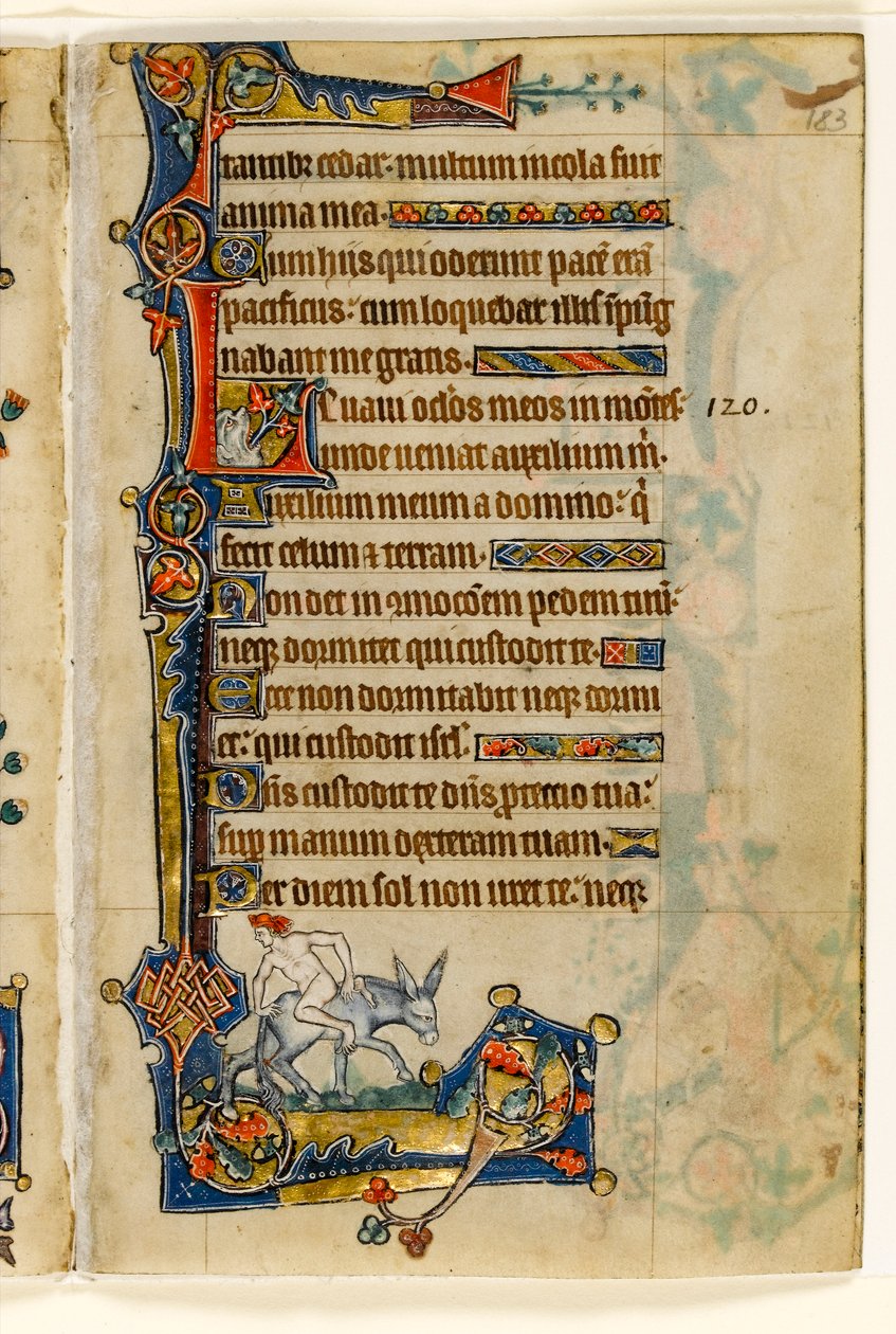 MS 1-2005, fol. 183r: Geriye Dönen Bir Adam, Macclesfield Mezmurundan marjinal dekorasyon, Sarum Kullanımı, Doğu Anglia, c.1330 by English School