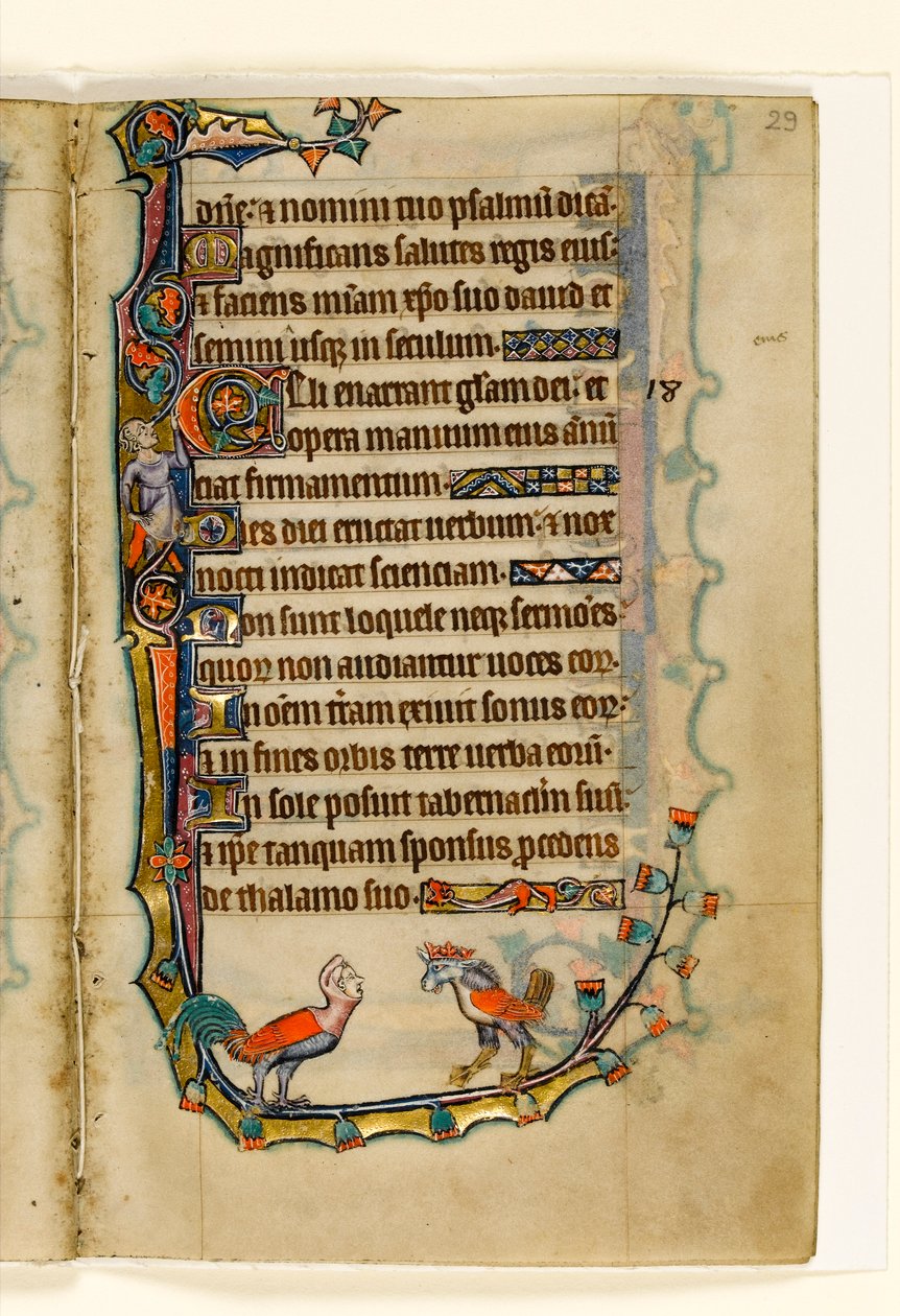 MS 1-2005, fol. 29r: İki Kuş benzeri grotesk, Macclesfield Psalter