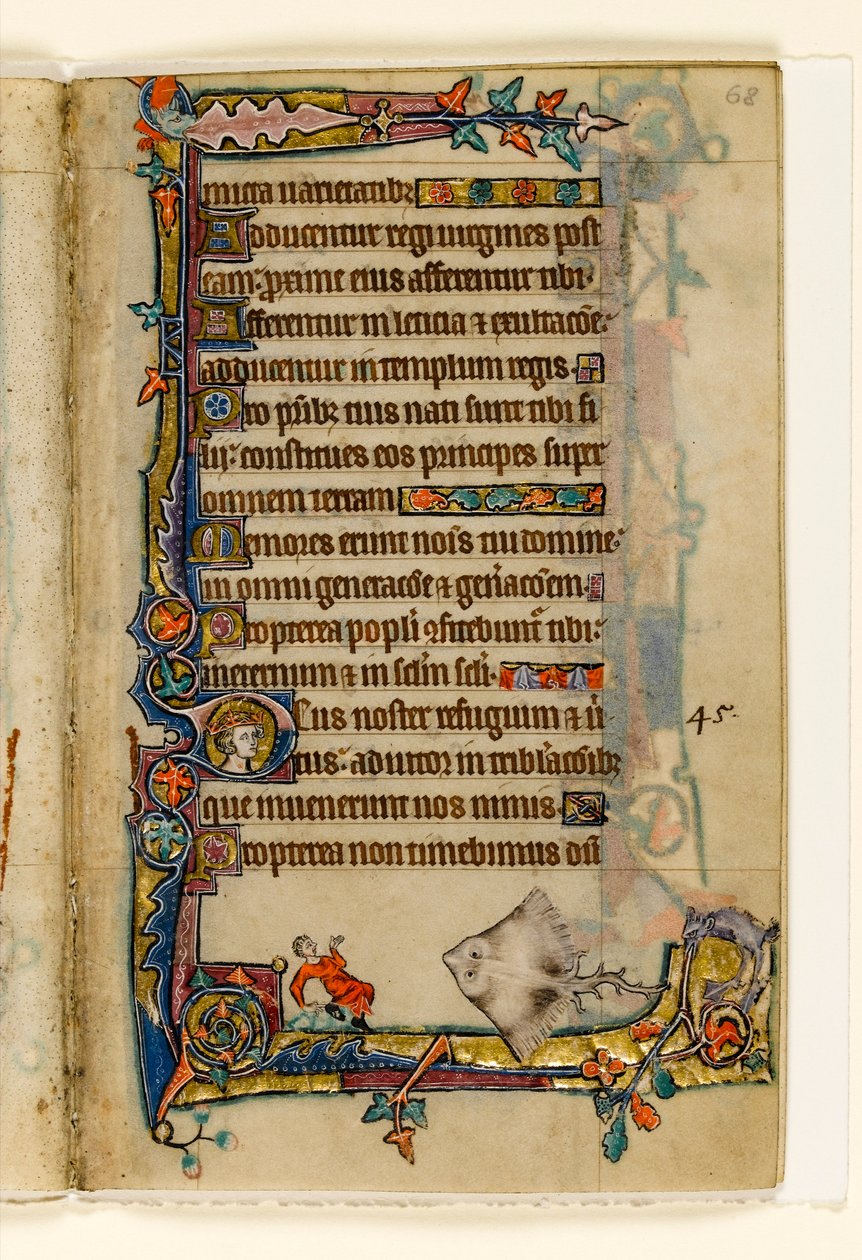 MS 1-2005, fol. 68r: The Giant Skate, Macclesfield Psalter