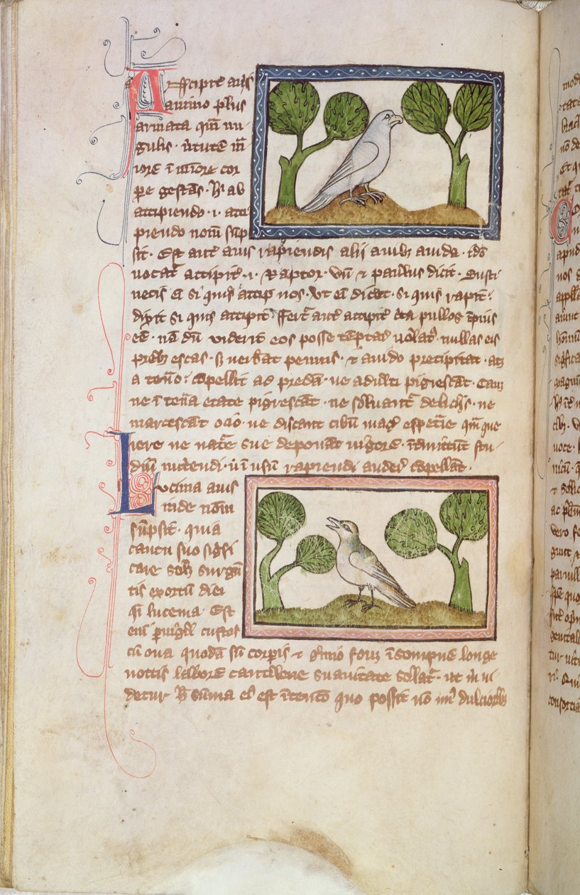 MS 379 f.22v Bestiary