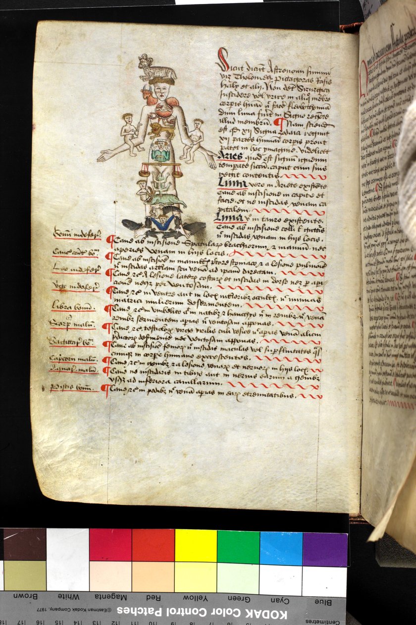 MS Hunter 251 f.47v, bir 