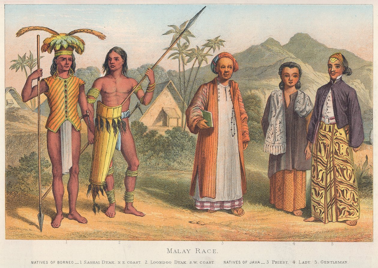 Malay Irkı (renkli gravür) by English School