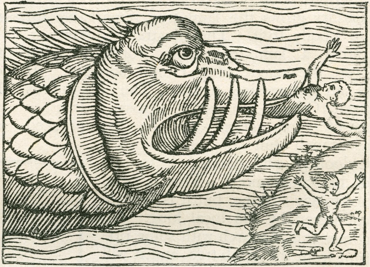 Deniz yılanı tarafından yenen adam. Olaus Magnus tarafından hazırlanan bir haritanın kenarında bulunan çizim by English School