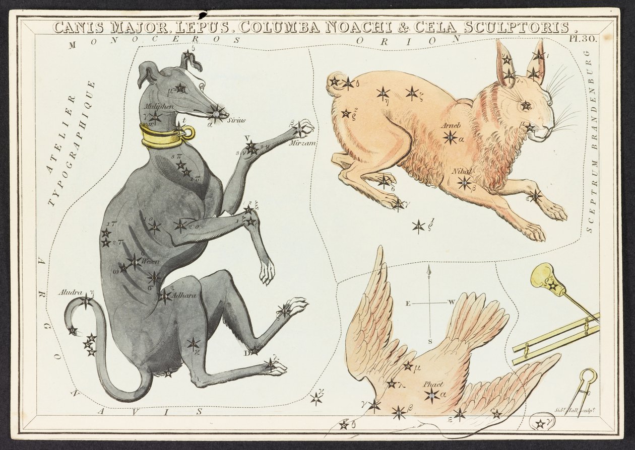 Haritalar C.44.A.42 Canis Major Lepus, 