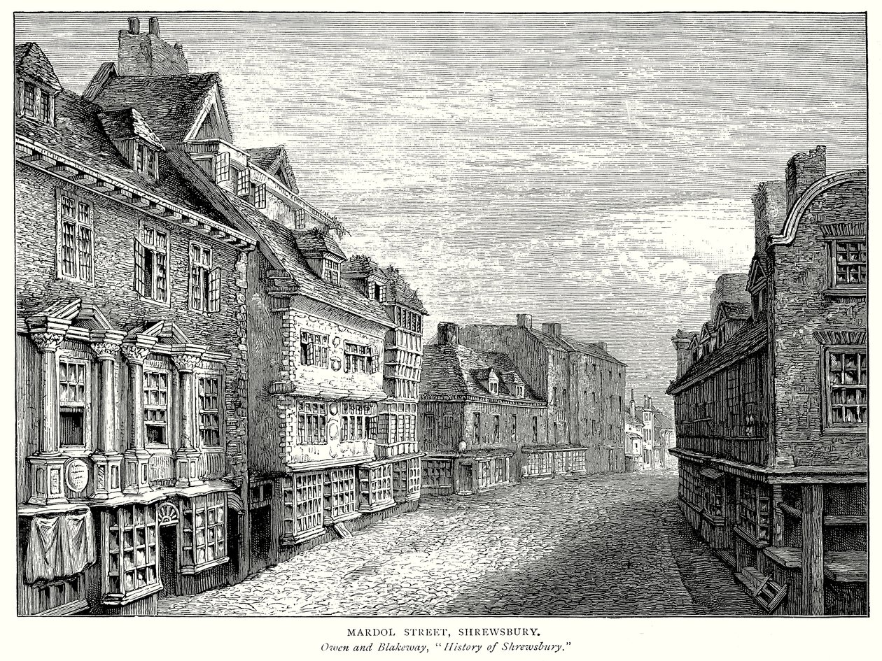 Mardol Caddesi, Shrewsbury (gravür) by English School