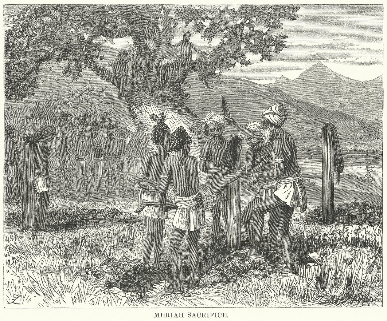 Meriah Kurbanı (gravür) by English School
