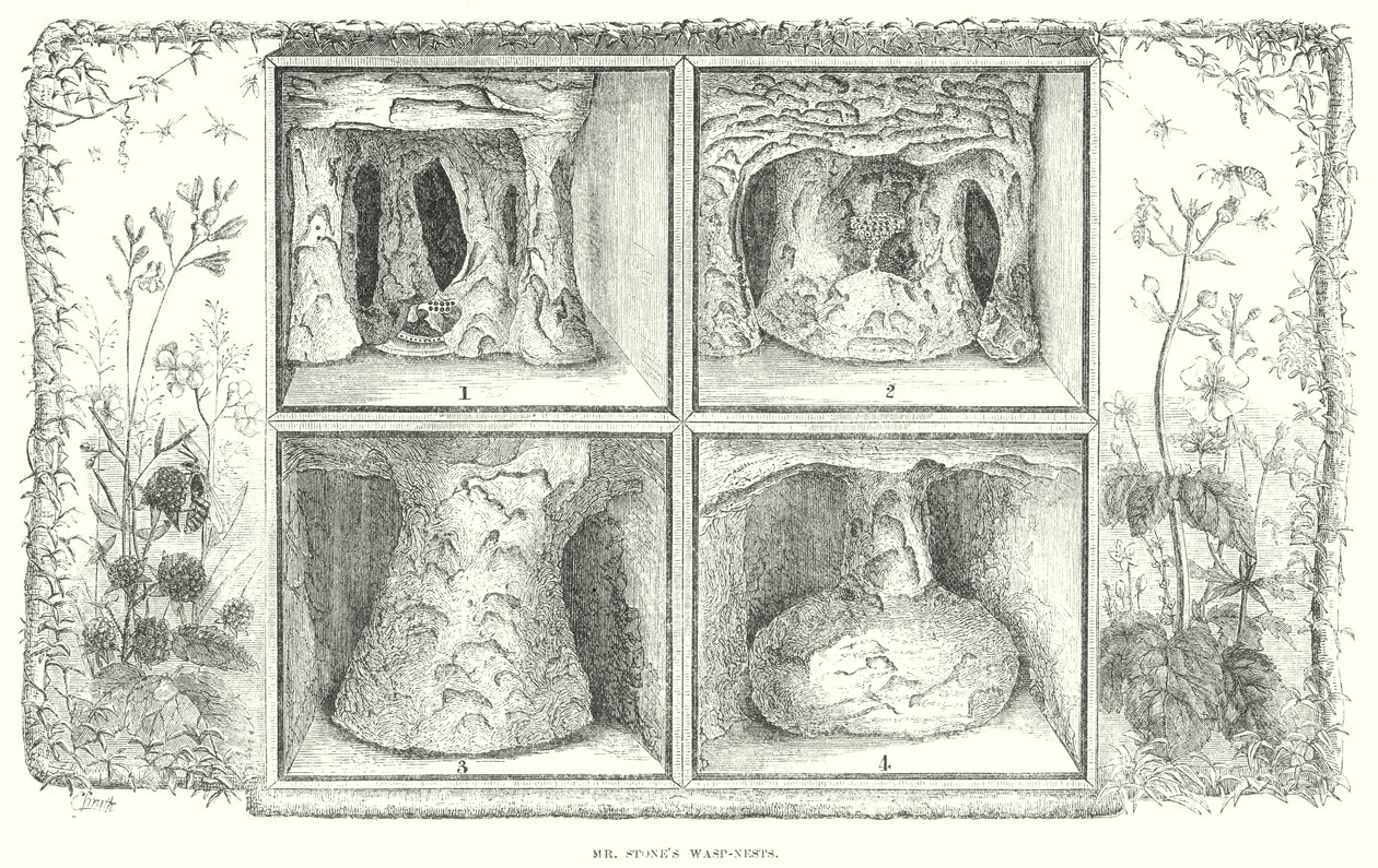 Bay Stone