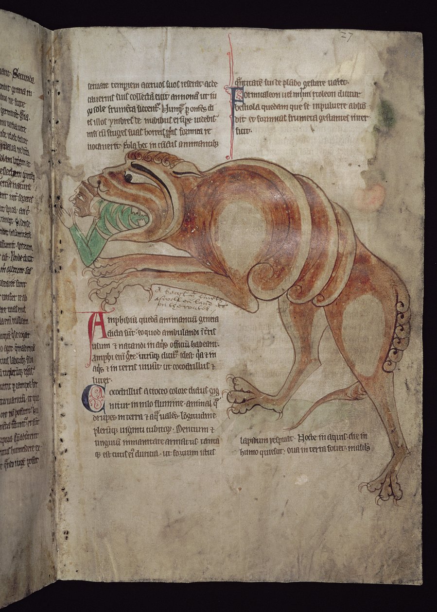 Ms.254 f.24 r Cocodrillus Bir Adamı Yutma by English School
