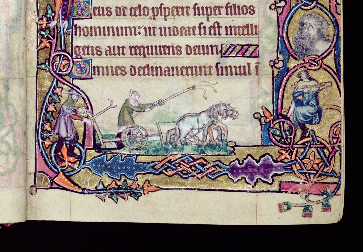 Ms 1-2005, ff.76v-77r: David ve budala, ilk olarak Macclesfield Psalter'dan alınmıştır, Use of Sarum, East Anglia, c.1330 (parşömen) (276994 detayı) by English School