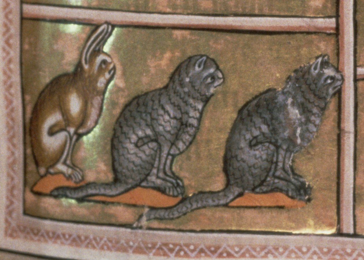 Ms 24 f.5 Adam, Aberdeen Bestiary