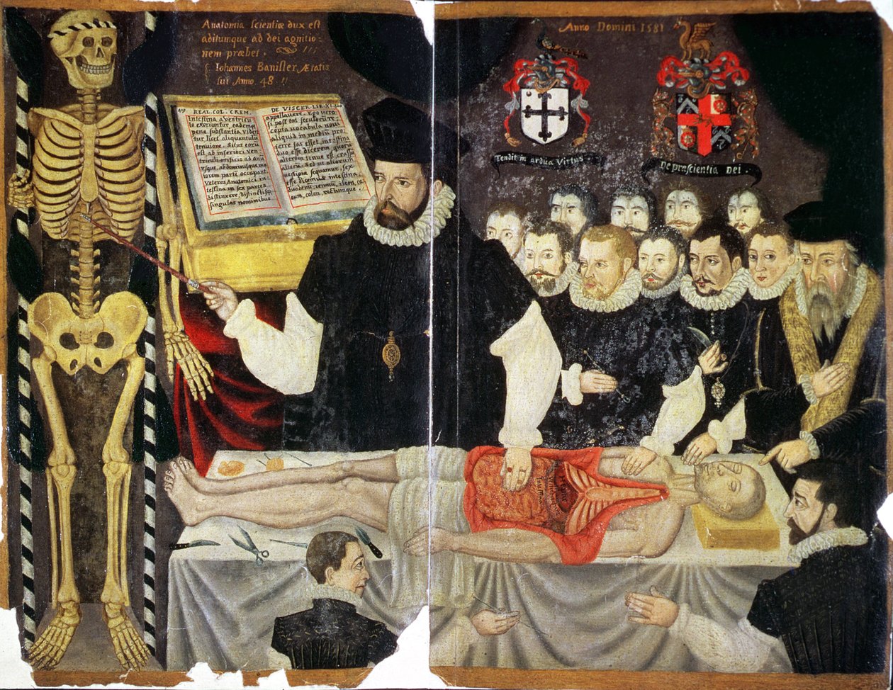 Ms Hunter 364 Top v14 fol.59 Frontispiece, John Bannister Diseksiyonlu Anlatım (kahverengi kağıt üzerine yağlı boya) by English School