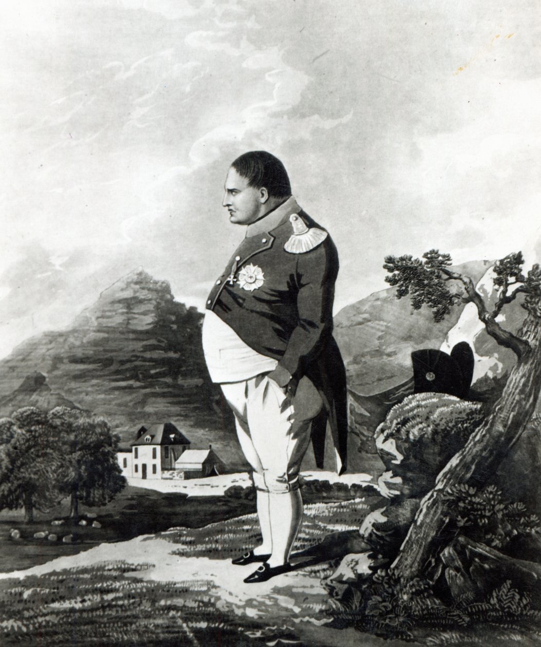 Napolyon, St. Helena adasında, 1820 by English School